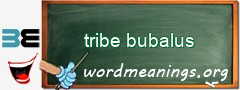 WordMeaning blackboard for tribe bubalus